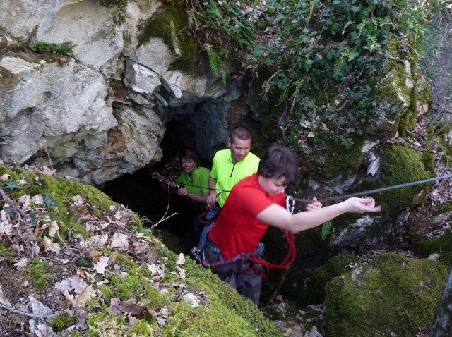 Descubrimientos únicos 